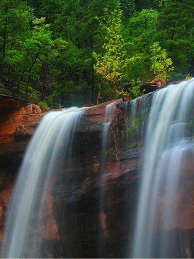 Information About Camping in Zion National Park Story