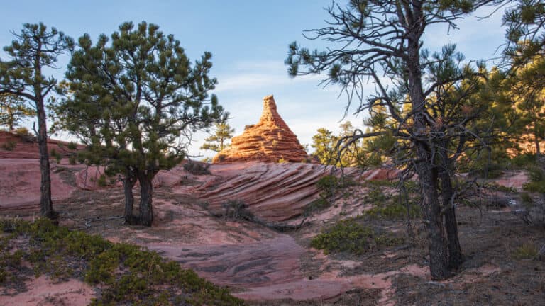 Tips To Take Stunning Zion National Park Photos