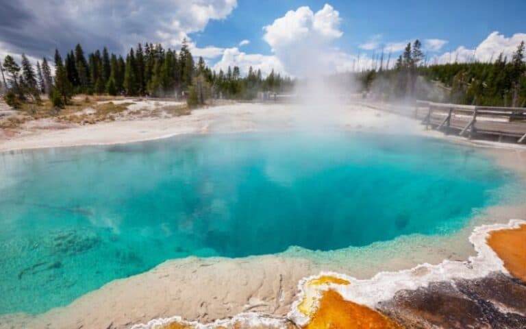 What to Expect at Yellowstone in June