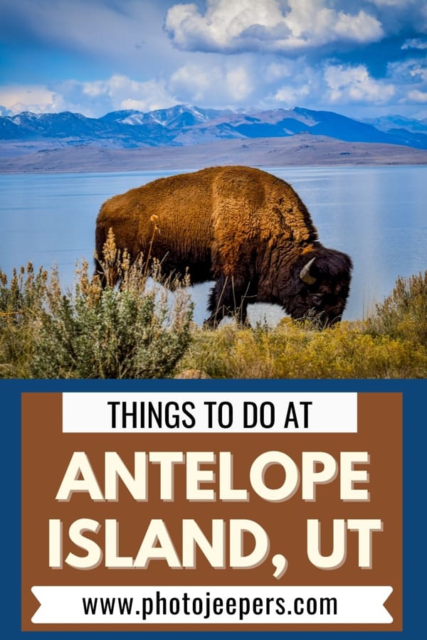 things to do at Antelope Island Utah