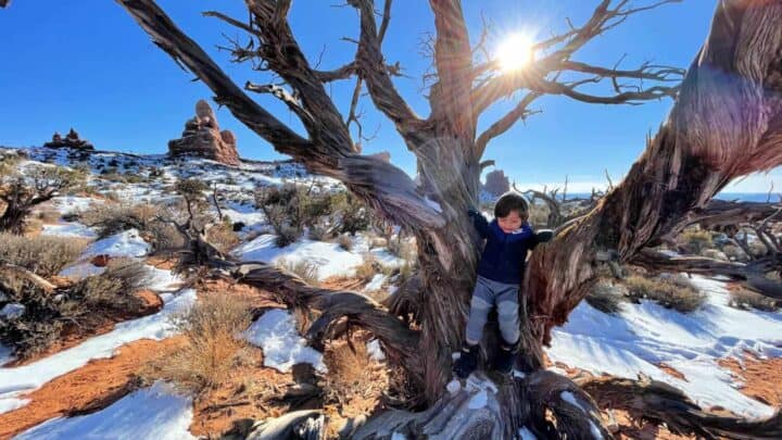 Image for Visiting Arches National Park With Kids