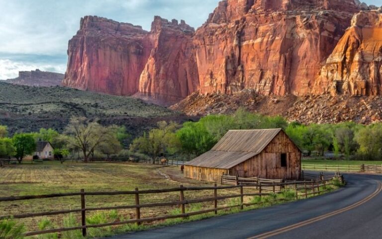 Tips and Activities For Visiting Capitol Reef in July