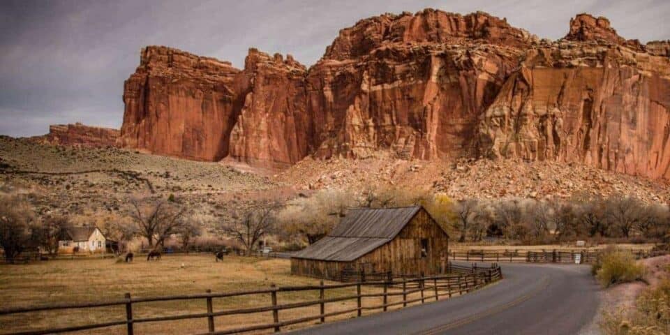 capitol-reef-national-park-fruita-district-photo-jeepers