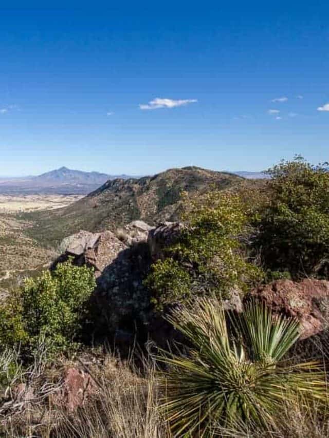 cropped-Coronado-Peak-summer-hiking-trail-raulersongirlstravel.jpg