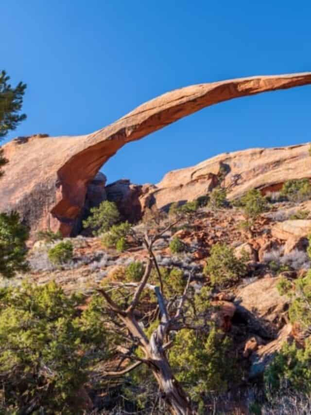 Vacation Guide for Visiting Arches National Park in June Story