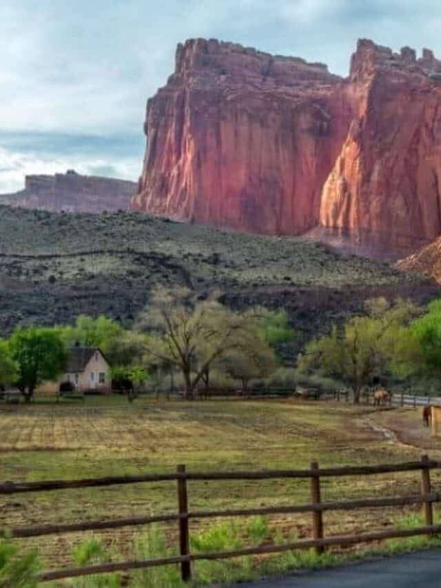 cropped-capitol-reef-in-july.jpg