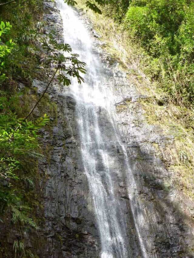 Vacation Ideas at US National Parks in June Story