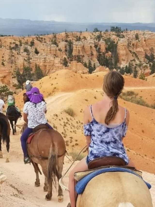 Things to Do at Bryce Canyon National Park in the Summer Story