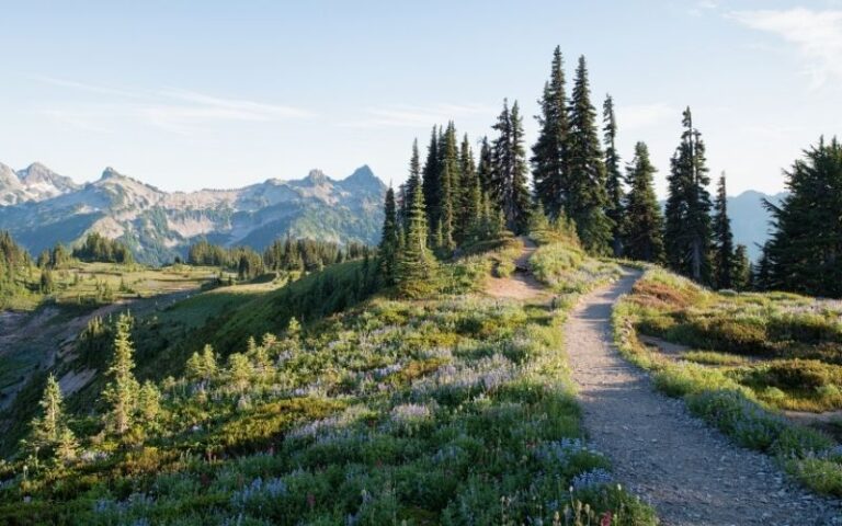 Best Summer Hikes at US National Parks