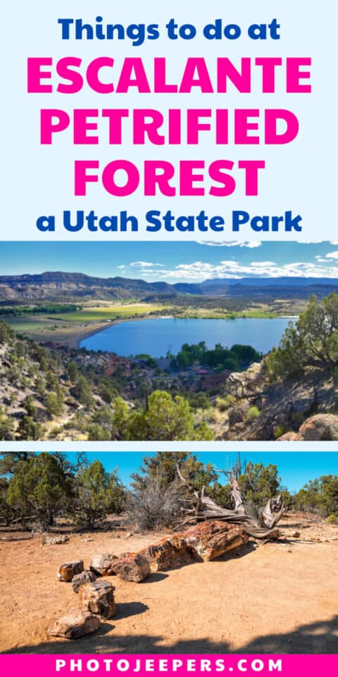 things to do at Escalante Petrified Forest a Utah State Park