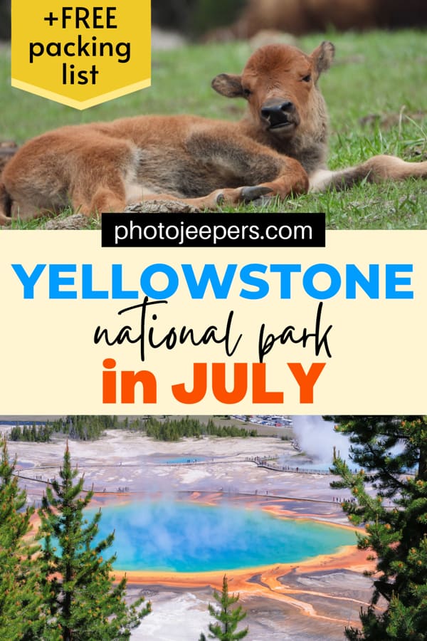 yellowstone national park in july