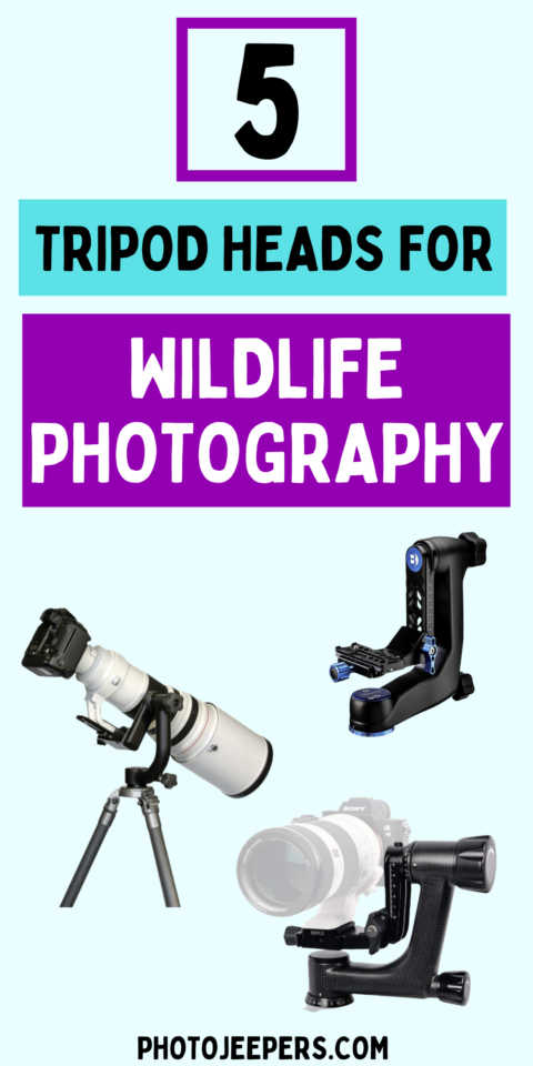 5 tripod heads for wildlife photography