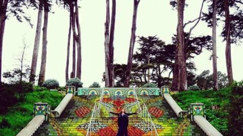Image for 15 Best Things to do in San Francisco with Kids