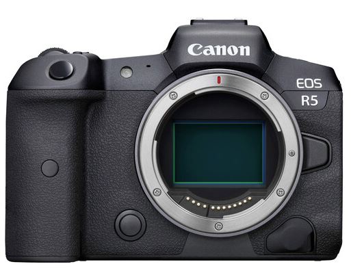 Canon EOS R5 wildlife camera