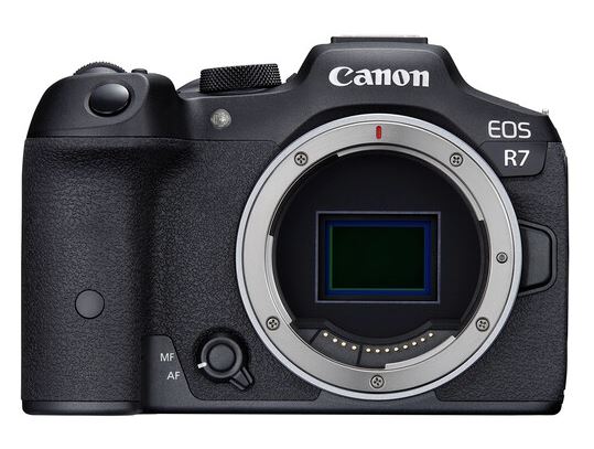 Canon EOS R7 camera for wildlife