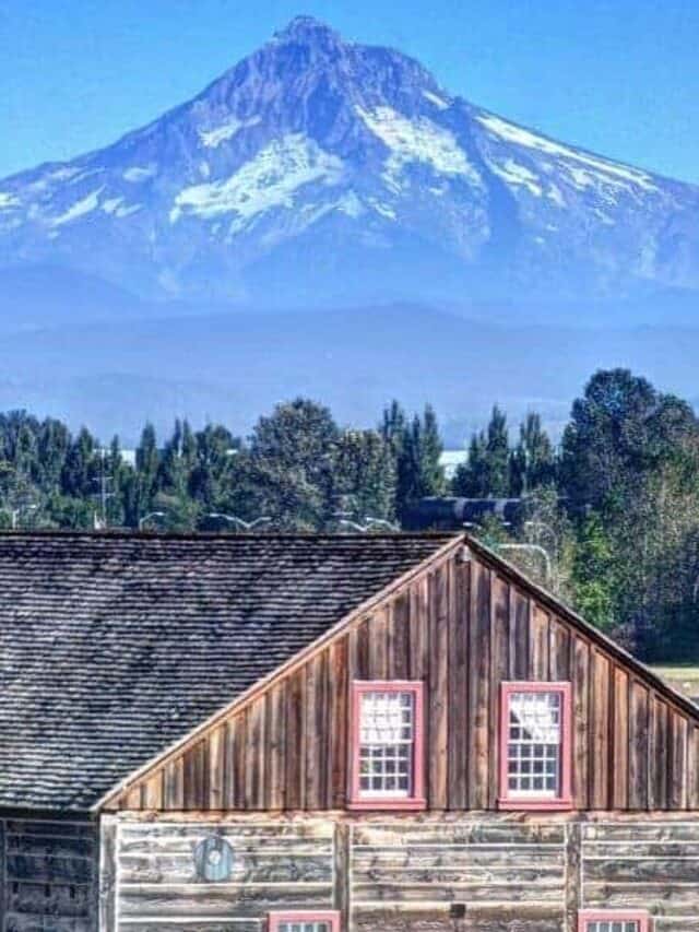 50 Unique Things To Put On Your Portland Bucket List Story