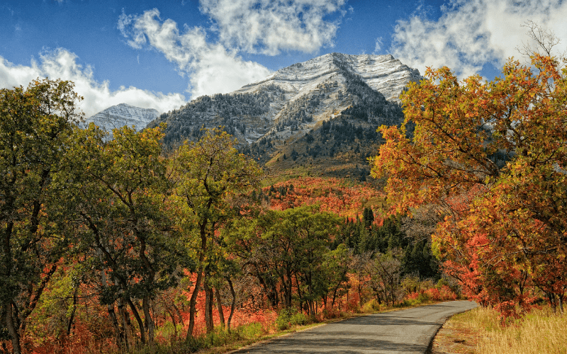 fall foliage in Utah 
