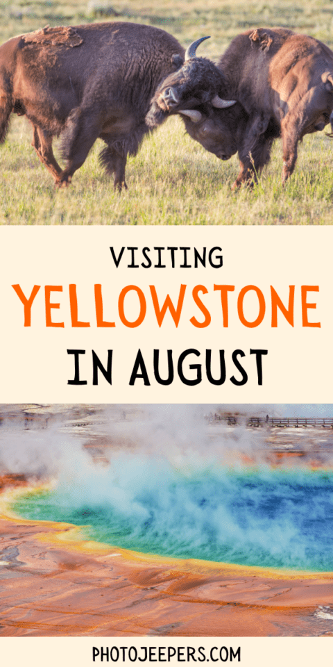 visiting yellowstone in august