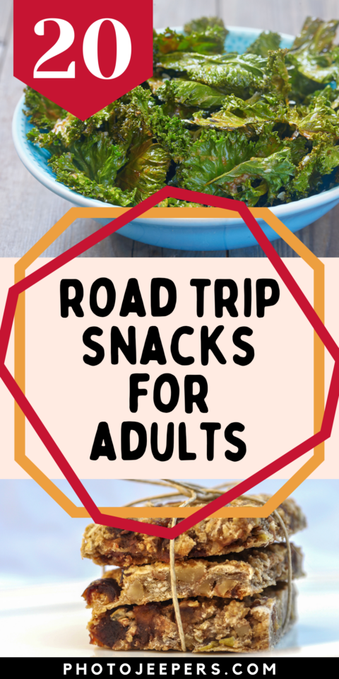 road tip snacks for adults