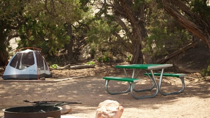 Image for The Ultimate Guide to Camping in Canyonlands National Park