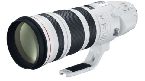 Canon EF 200-400mm f4L IS USM Extender 1.4x Lens