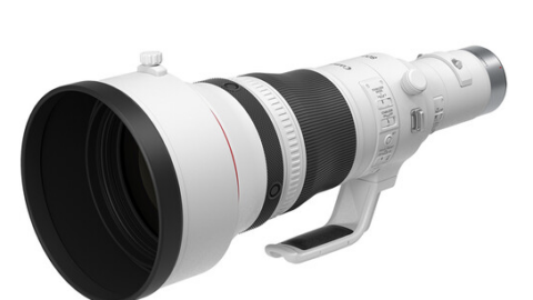 Canon RF 800mm f5.6 L IS USM Lens