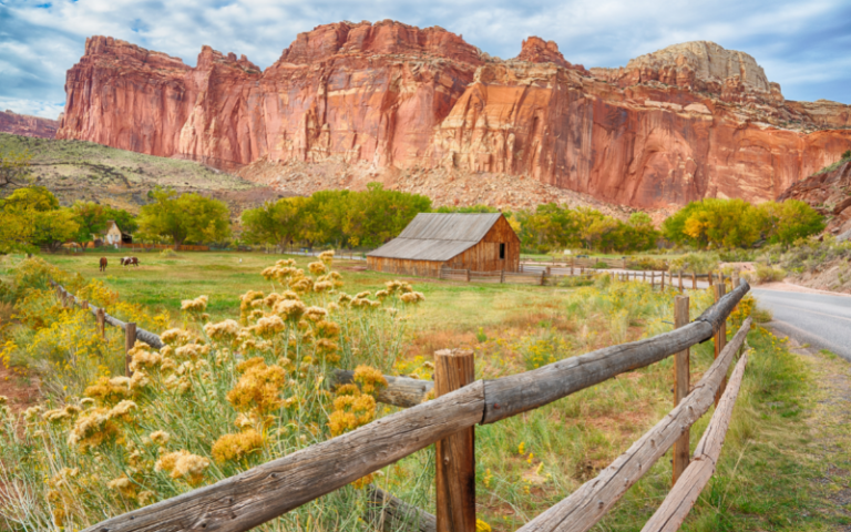 Awesome Tips for Visiting Capitol Reef National Park
