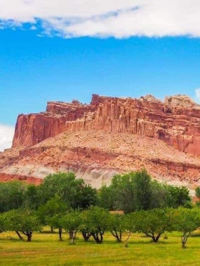 Tips and Activities For Visiting Capitol Reef in July Story