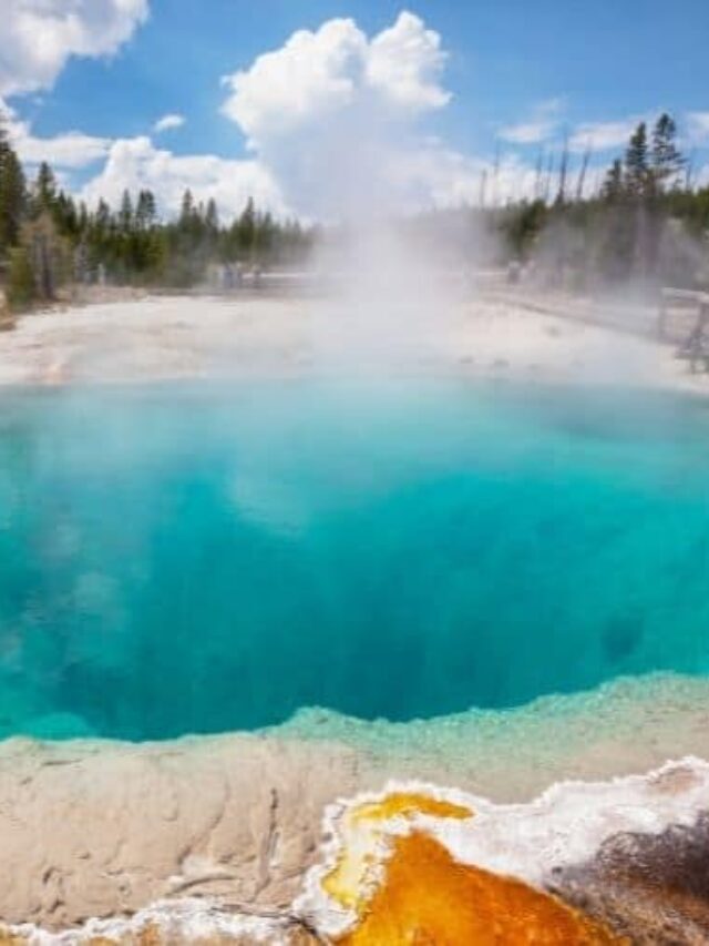 Yellowstone National Park in August: Vacation Planning Guide Story
