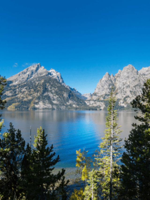 cropped-view-from-Grand-Teton-hiking-trail.png
