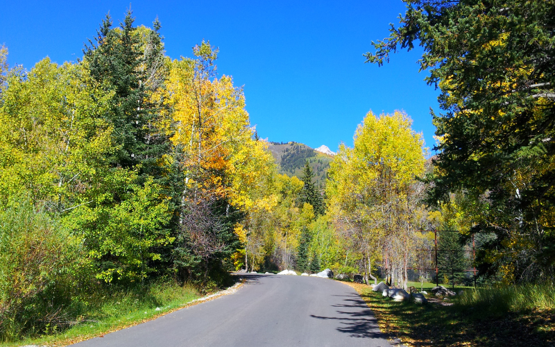 alpine loop scenic drive in the fall