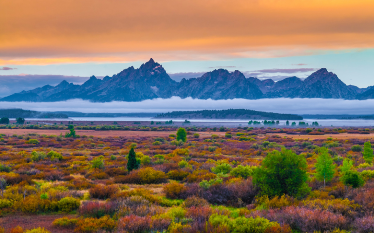 12 Best Easy Hikes in Grand Teton National Park (With Map)
