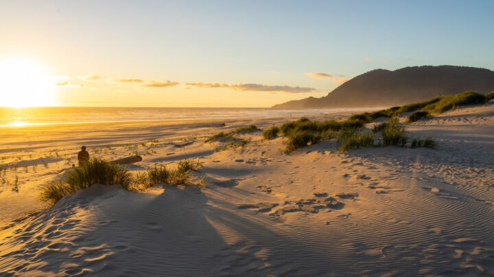 Image for Exactly How to Plan an Incredible Oregon Coast Road Trip