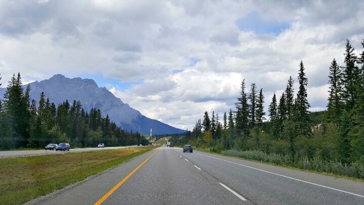Image for Our Essential Summer Road Trip Packing List