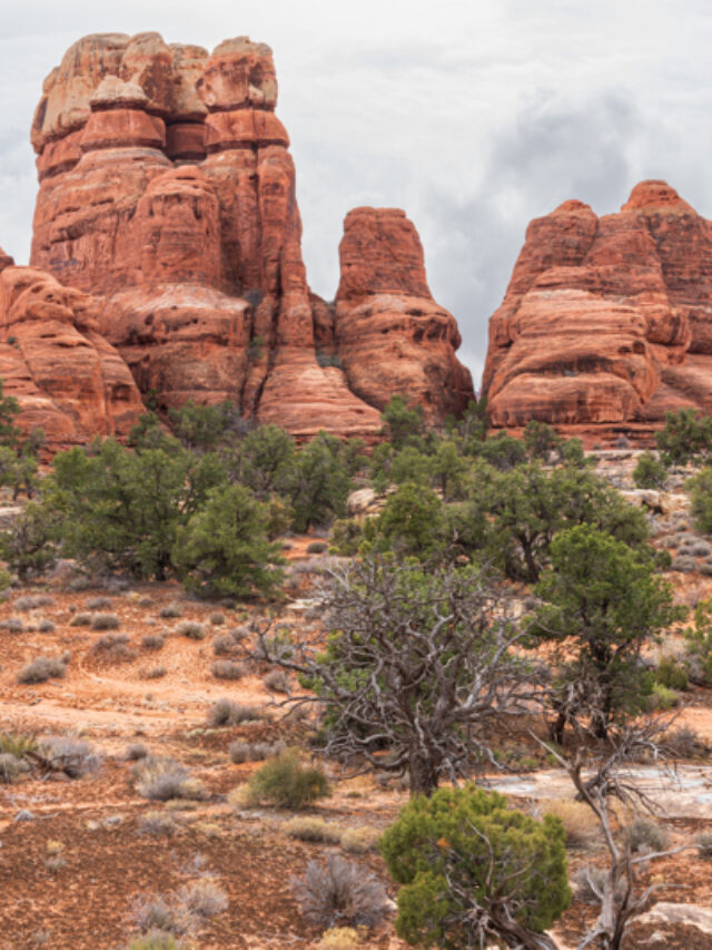 One Day at Needles Canyonlands Story