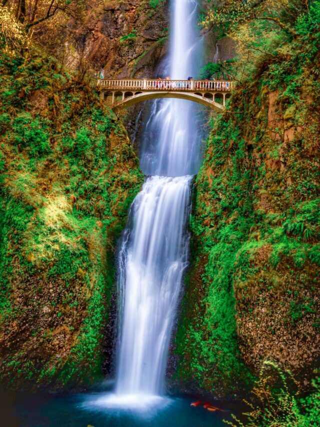 Oregon Road Trip 2-Week Itinerary Story