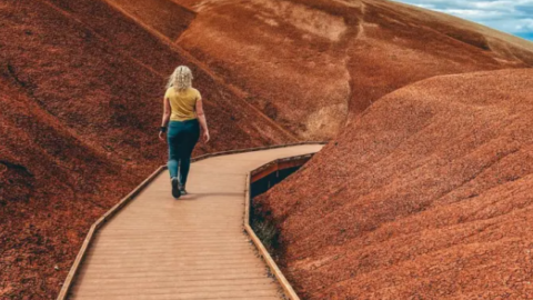 Image for Best Painted Hill Trails