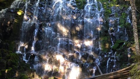 Image for Ramona Falls Trail in Mount Hood National Forest