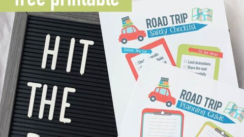 Image for FREE Printable Road Trip Safety Checklist & Planner for Moms