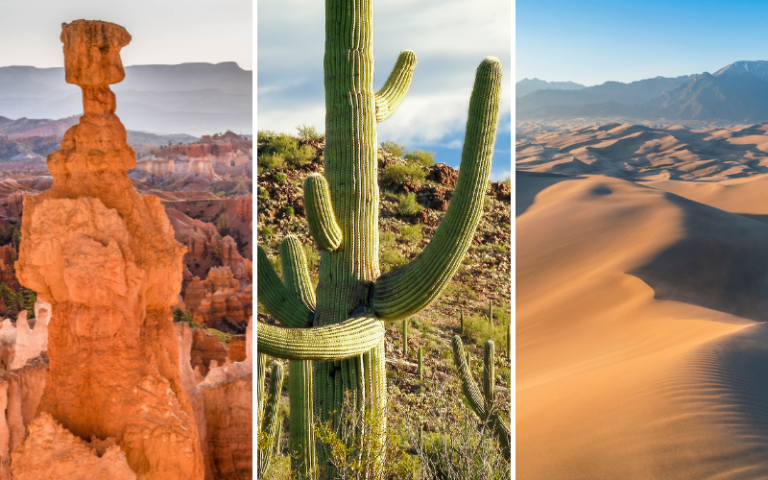 40+ US Southwest National Parks Guides, Tips, and Packing Lists