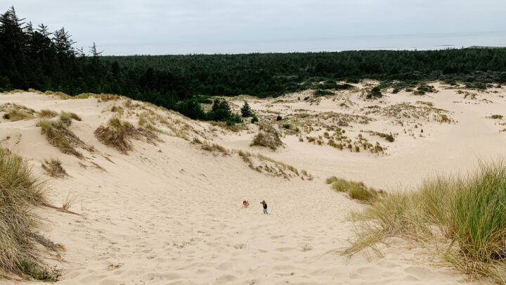 Image for 26 Best Things to Do in Florence, Oregon