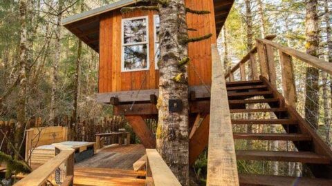 Image for 21 Best Oregon Treehouse Rentals