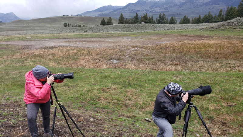 two wildlife photographers at Yellowstone