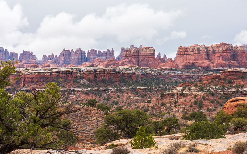 view of the Needles formations at Needles Canyonlands