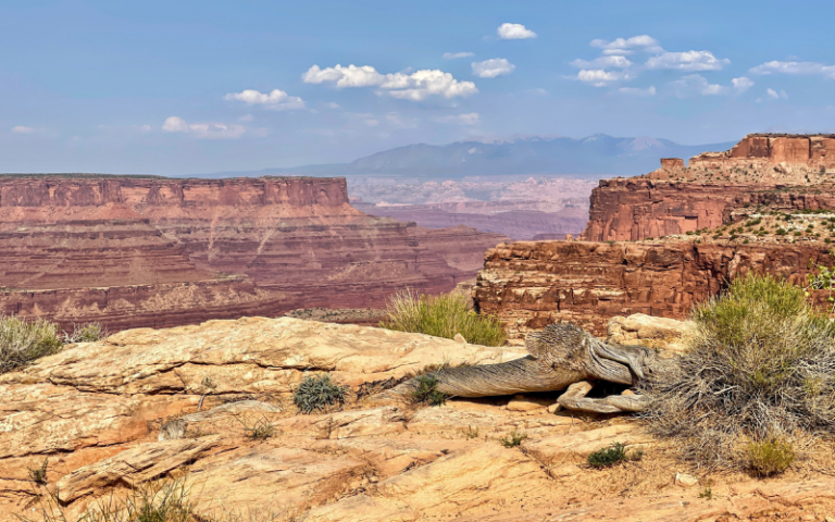 Two Days at Canyonlands National Park: Itinerary and Guide