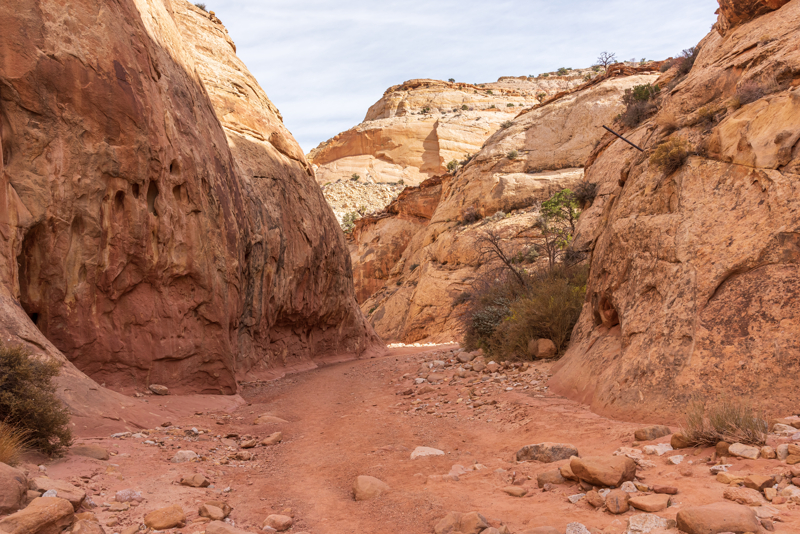 Capitol Gorge Trail at Capitol Reef