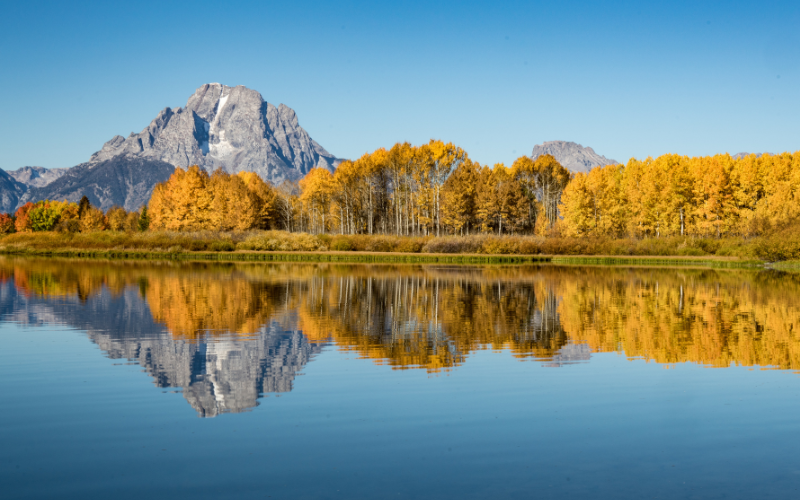 Oxbow Bend in the fall