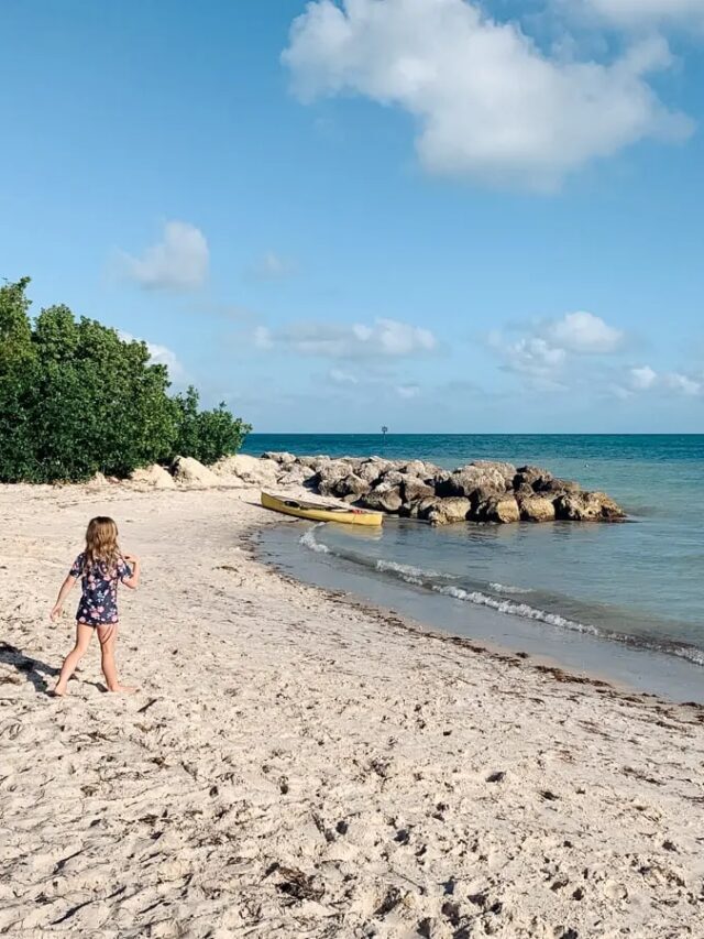 January Vacation Ideas in the US Story