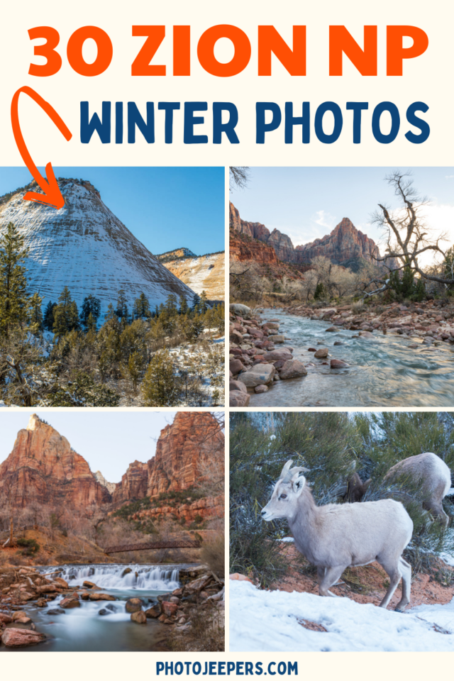 30 Zion National Park Winter Photos