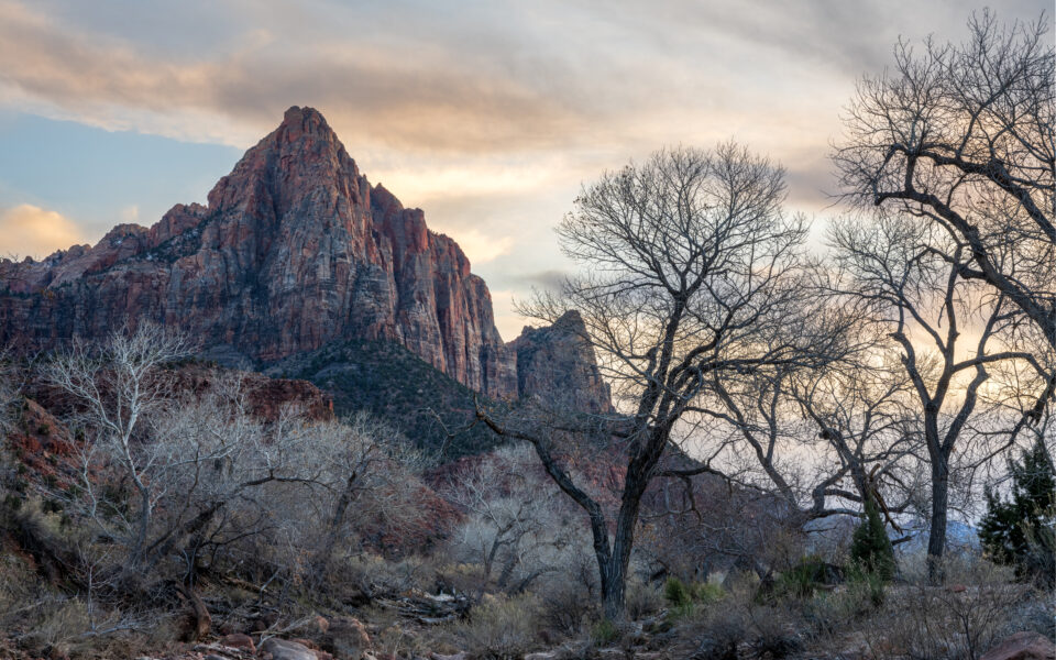 Zion National Park in the winter